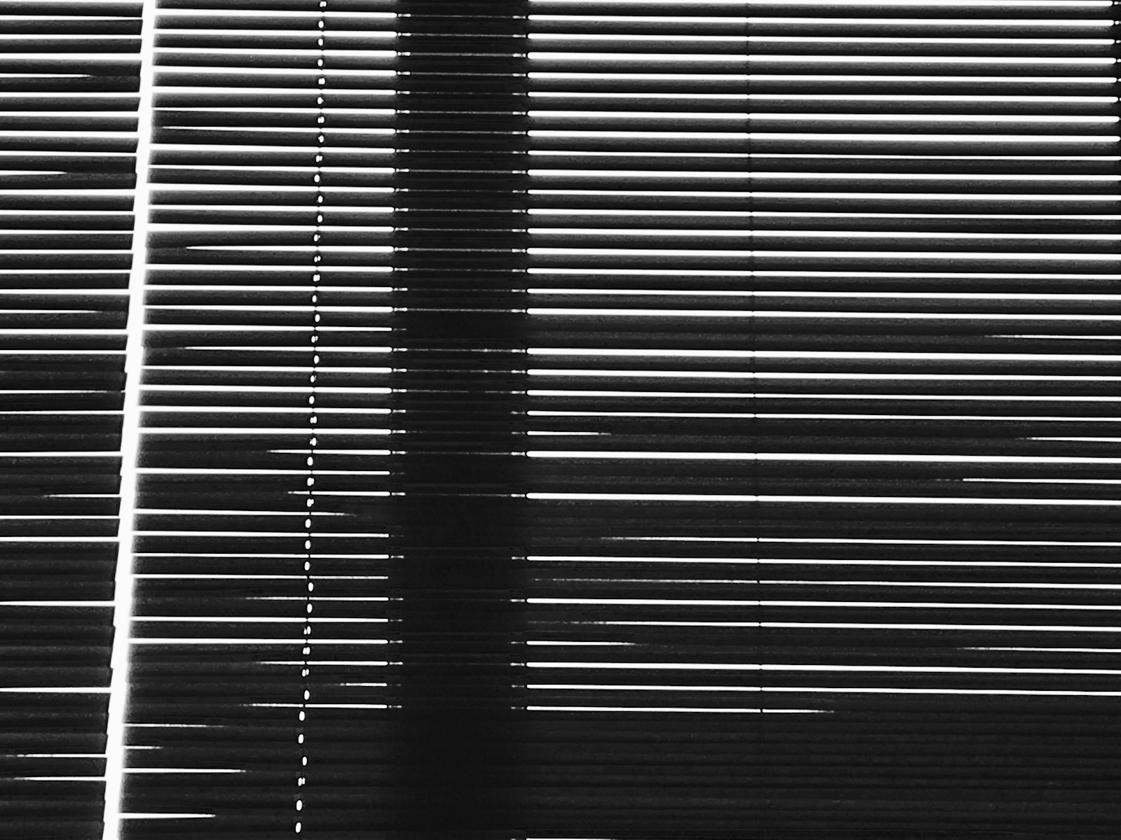 a black and white photo of a window with blinds