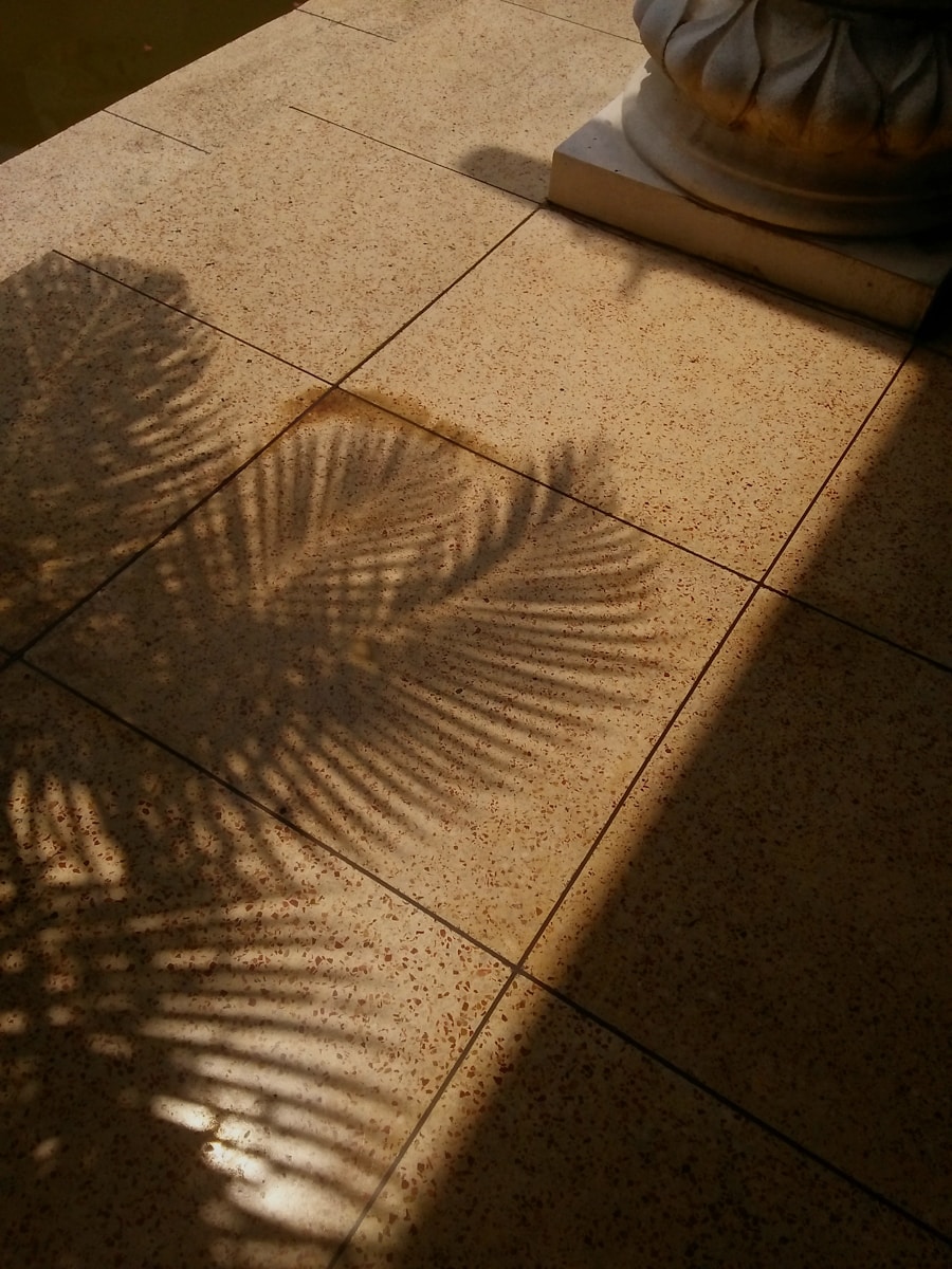a close-up of a wooden floor